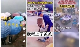 卖惨爆料视频大全下载,情感陷阱与网络舆论的交织